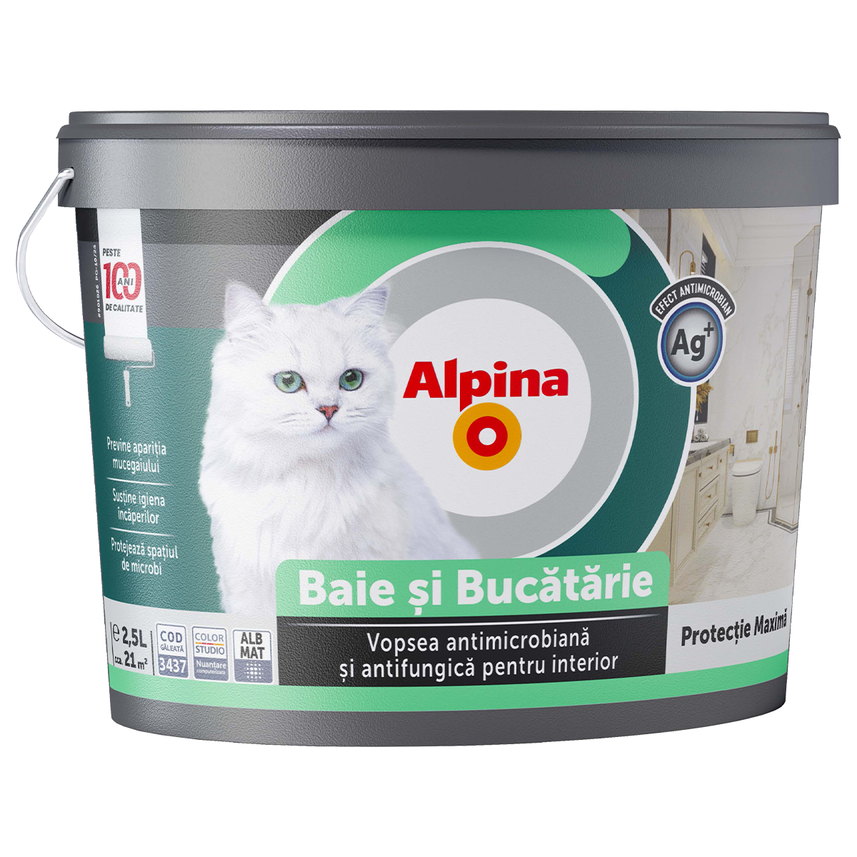 Alpina Baie si Bucatarie