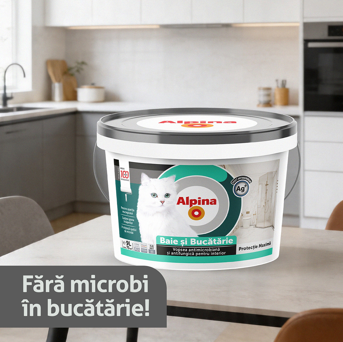 Imagine 2 Baie și Bucătărie
