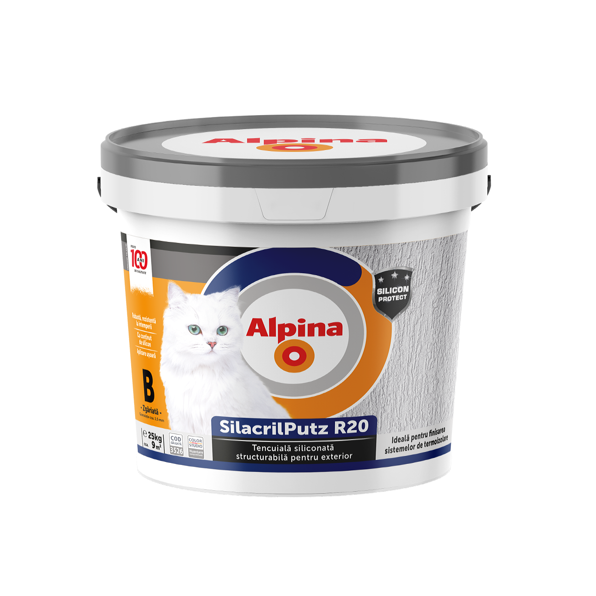 Imagine 2 Alpina SilacrilPutz R20